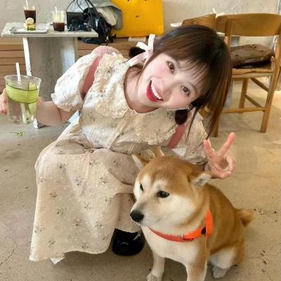 爱你是最美的时光